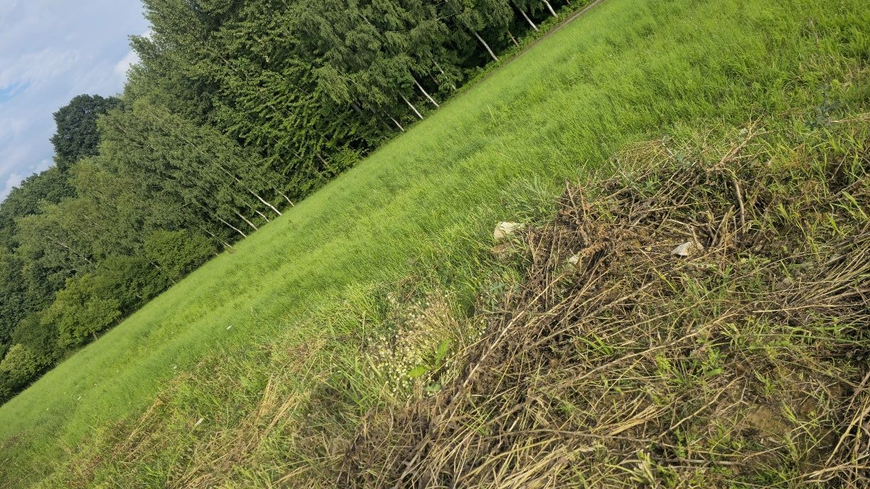 Działka budowlana Rzeszów Biała, ul. Ruczajowa