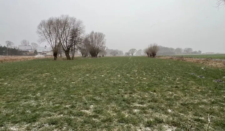 Działka rolno-budowlana Grębocin