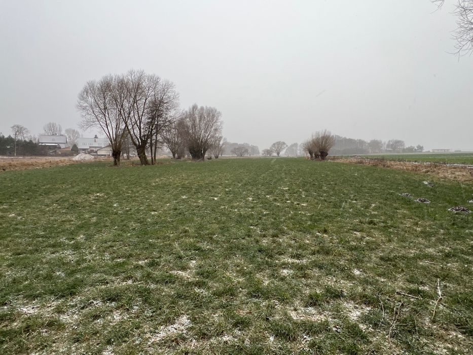 Działka rolno-budowlana Grębocin