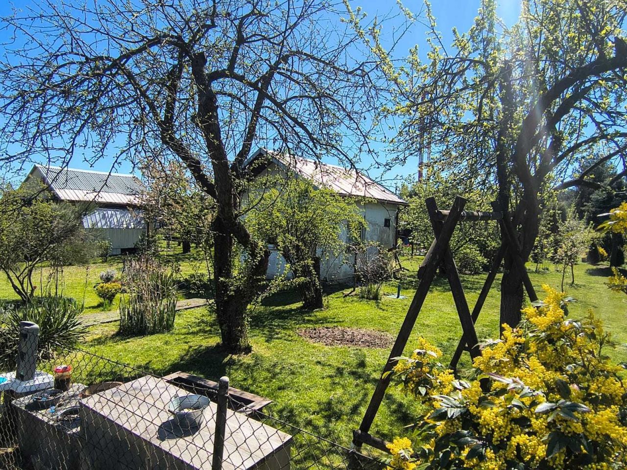 Działka rod Kluczbork, ul. Polna. Zdjęcie 7