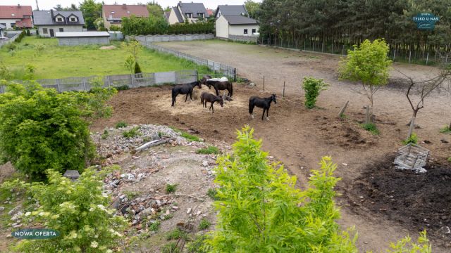 dom wolnostojący, 1 pokój Dąbrowa, ul. św. Wawrzyńca. Zdjęcie 22