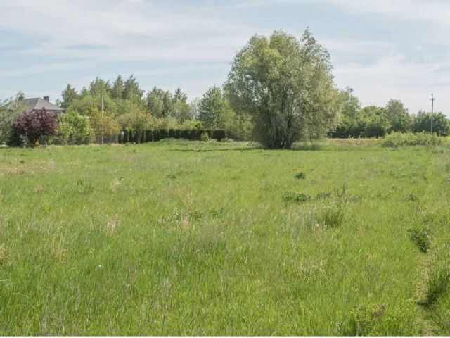 Działka rolno-budowlana Sokołów Podlaski, ul. Miła. Zdjęcie 1
