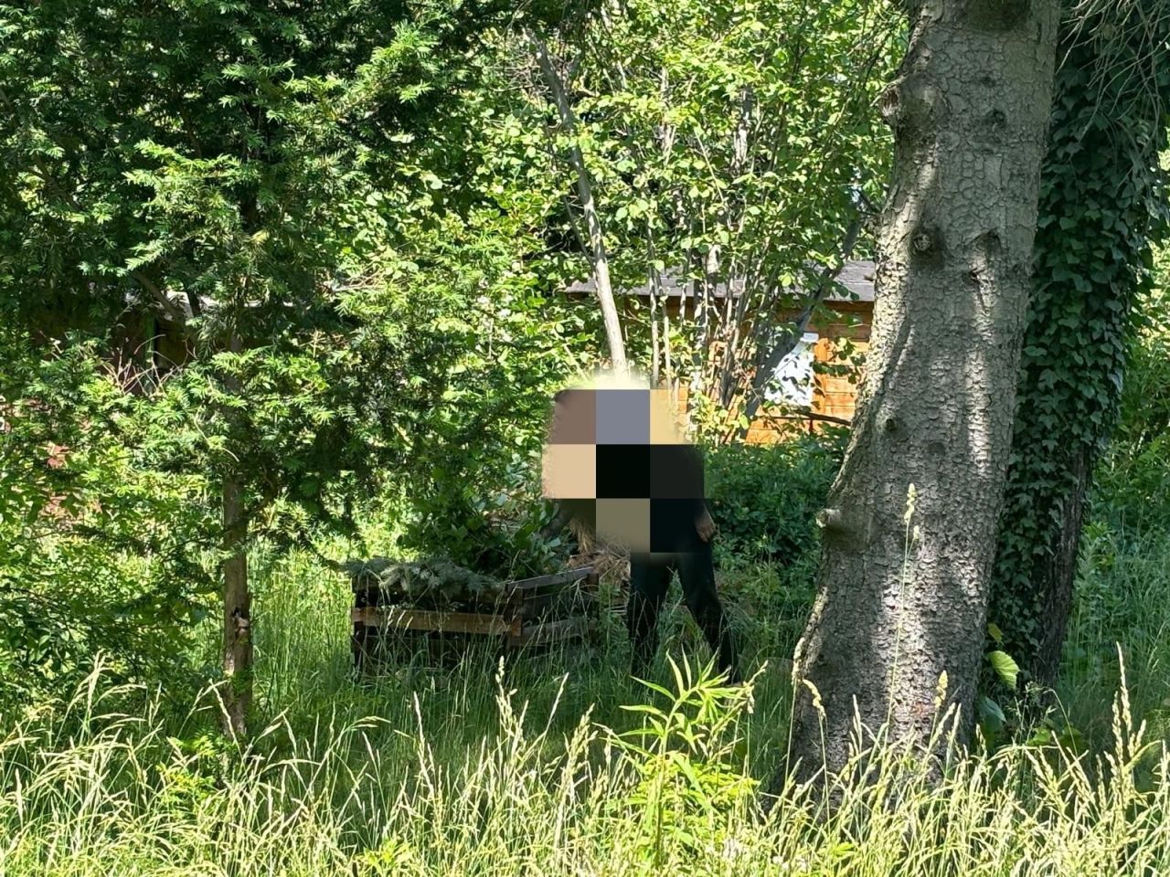 Działka rod Warszawa Bemowo. Zdjęcie 2