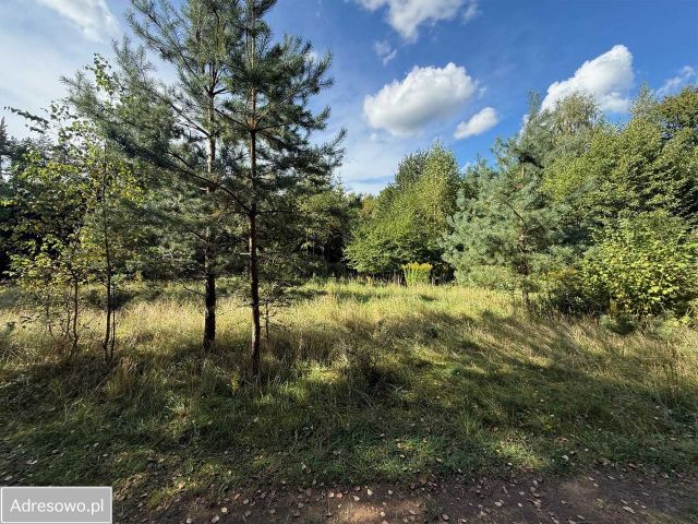 Działka rekreacyjna Nowe Czaple. Zdjęcie 1