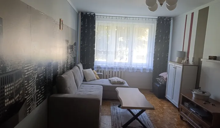 Mieszkanie 2-pokojowe Płońsk, ul. Młodzieżowa