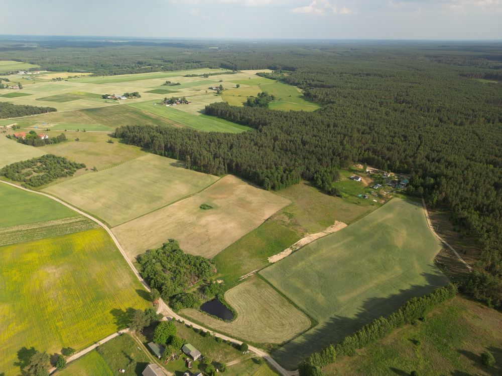 Działka Stara Kiszewa. Zdjęcie 7