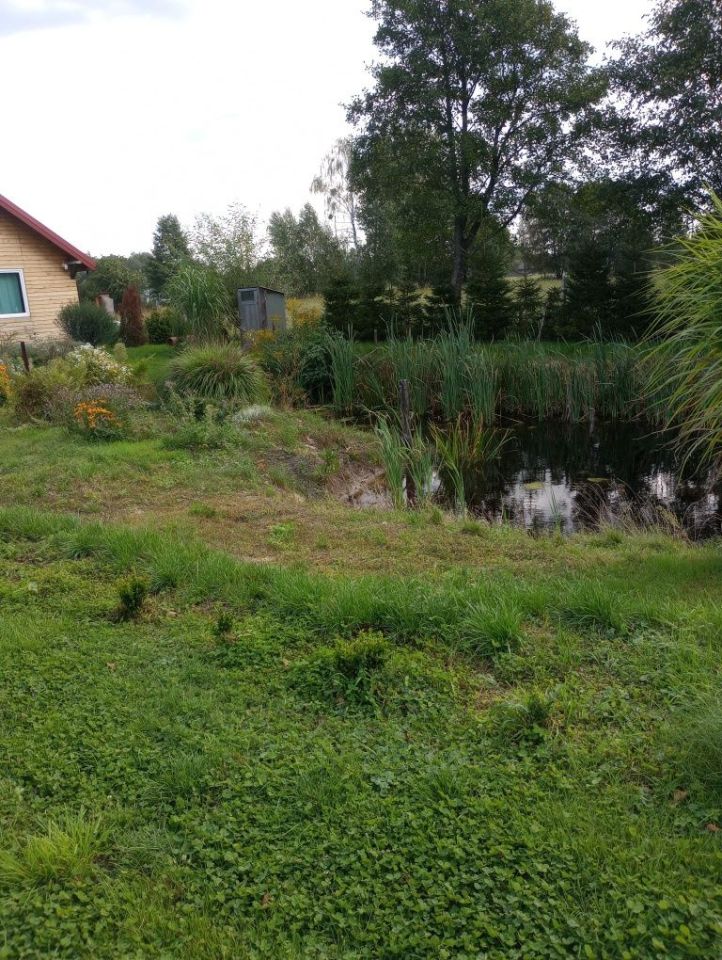 Działka budowlana Świętajno. Zdjęcie 3