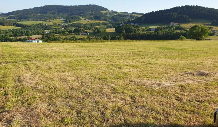 Działka siedliskowa Siekierczyna