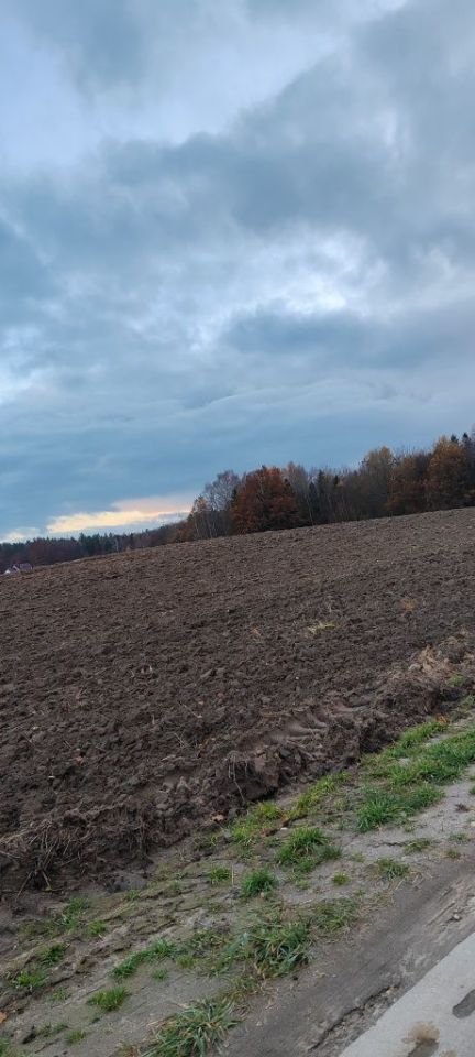 Działka budowlana Kosowo. Zdjęcie 2