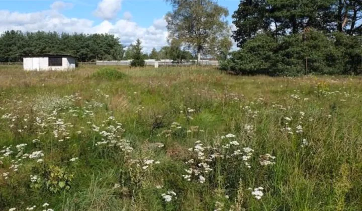 Działka rolno-budowlana Szczecinek Raciborki, ul. Sosnowa