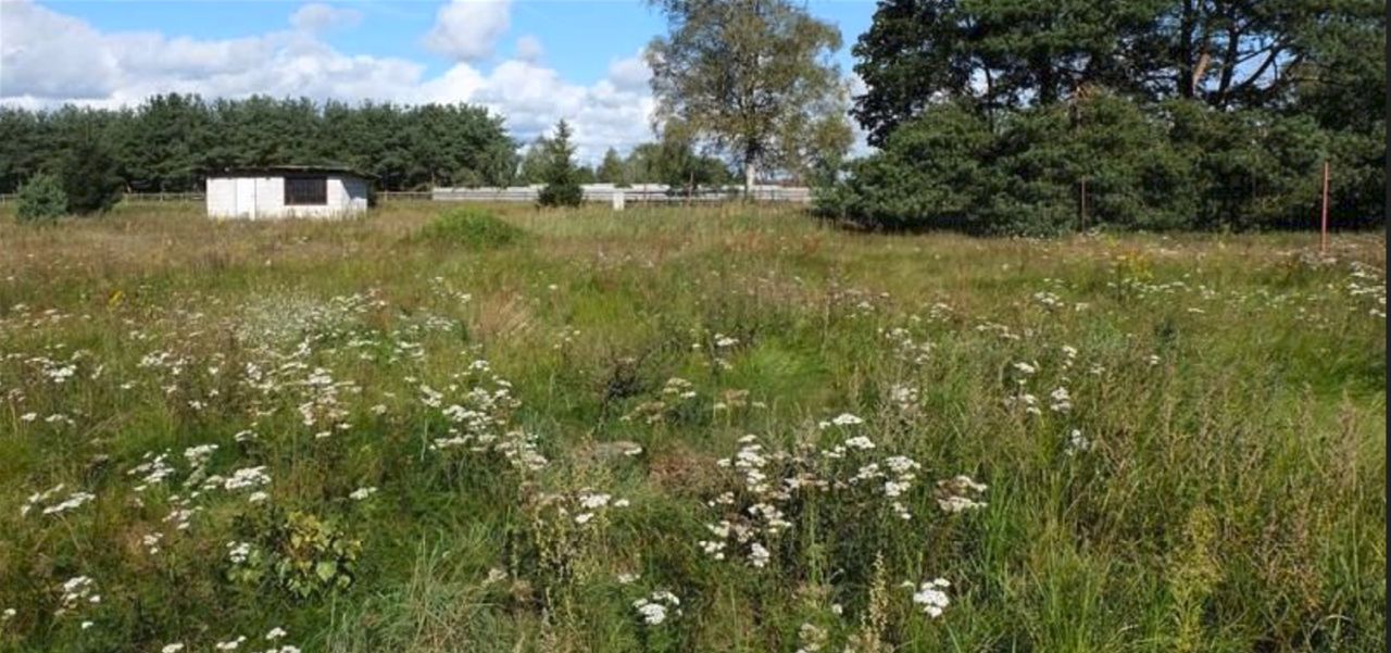 Działka rolno-budowlana Szczecinek Raciborki, ul. Sosnowa. Zdjęcie 1
