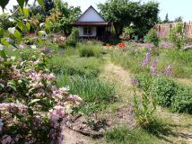 Działka rod Szczecin Gumieńce, ul. Ku Słońcu. Zdjęcie 3