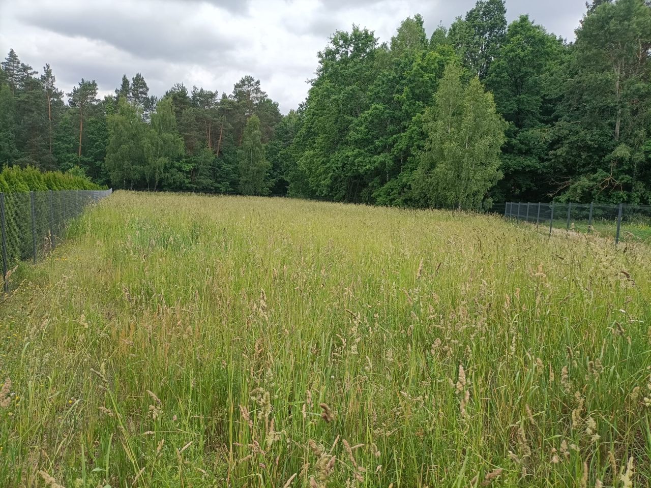 Działka rolno-budowlana Damianów. Zdjęcie 4