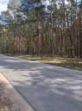 Działka Radzymin, ul. Sasankowa. Zdjęcie 1
