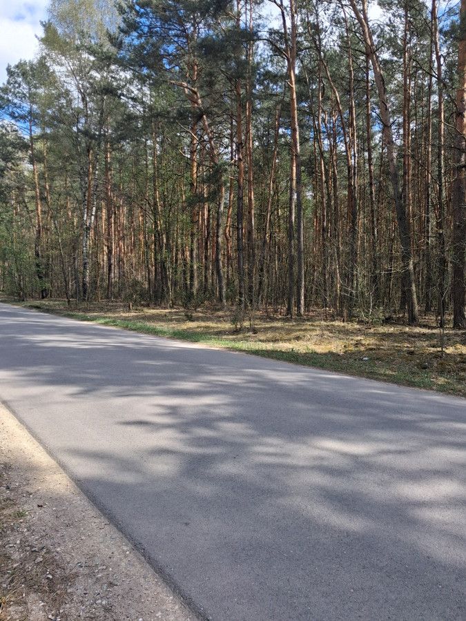 Działka Radzymin, ul. Sasankowa. Zdjęcie 2