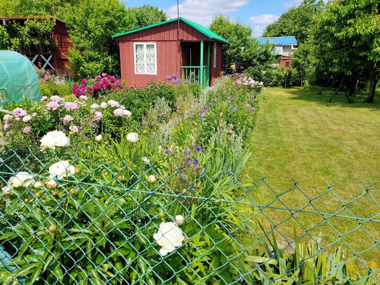 Działka rekreacyjna Siedlce Przymiarki, ul. Piaskowa
