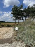 dom wolnostojący, 4 pokoje Łódź. Zdjęcie 4
