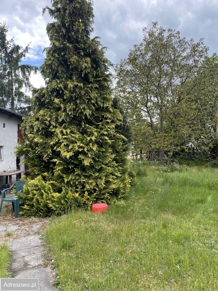 dom wolnostojący, 3 pokoje Starokrzepice, ul. Oleska. Zdjęcie 3