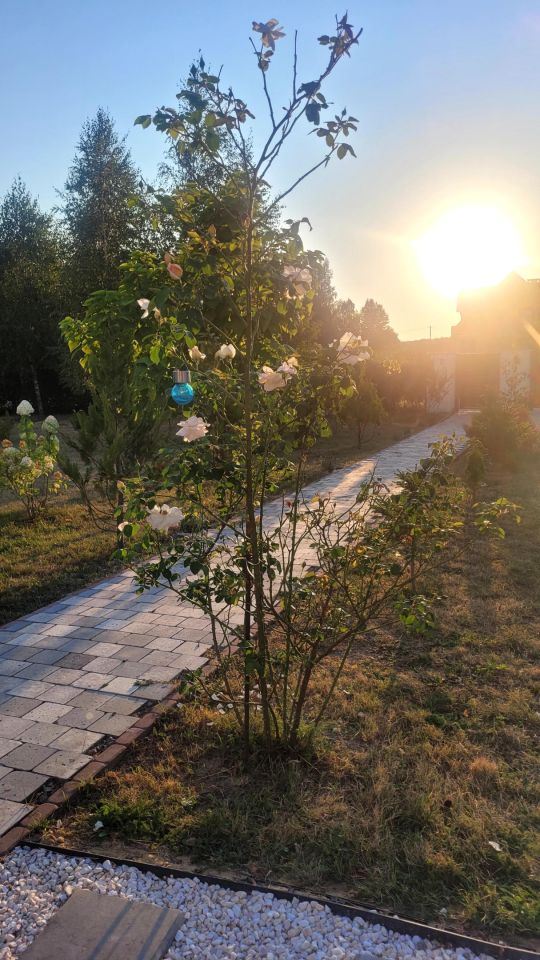 dom wolnostojący, 5 pokoi Smugi. Zdjęcie 2