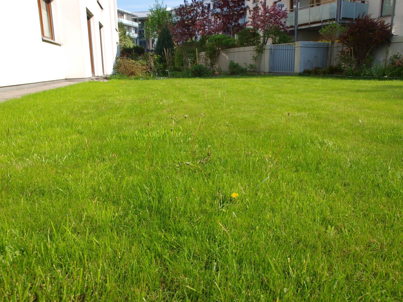 Mieszkanie 3-pokojowe Warszawa Natolin, ul. Stryjeńskich. Zdjęcie 14