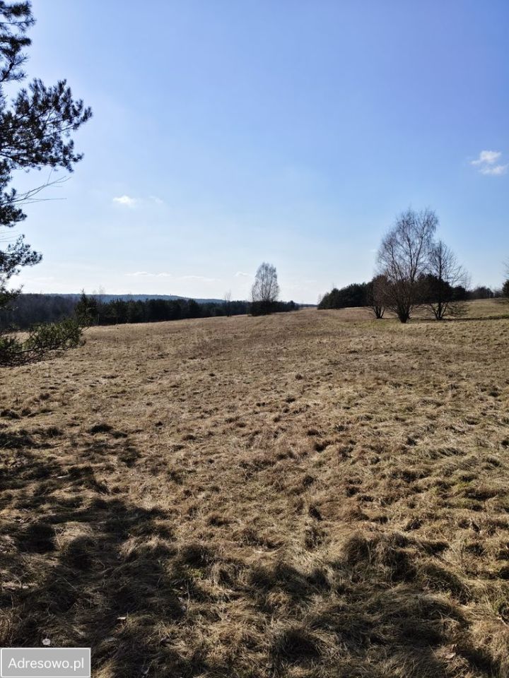 Działka rolno-budowlana Osiek. Zdjęcie 5