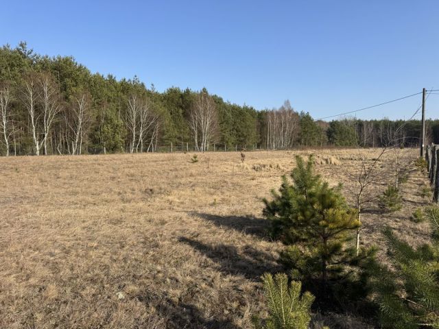 Działka rolna Wysoka. Zdjęcie 1