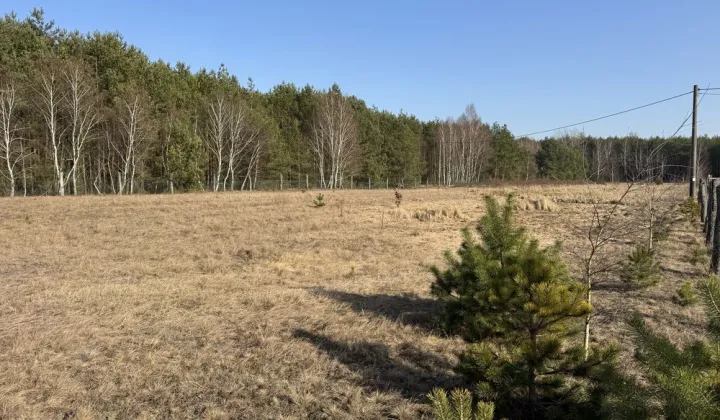 Działka rolna Wysoka