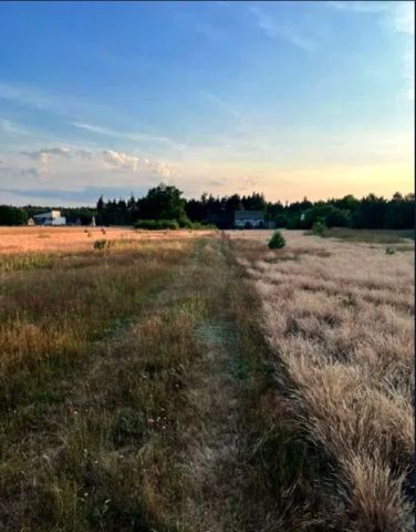 Działka rolna Stęszów. Zdjęcie 1