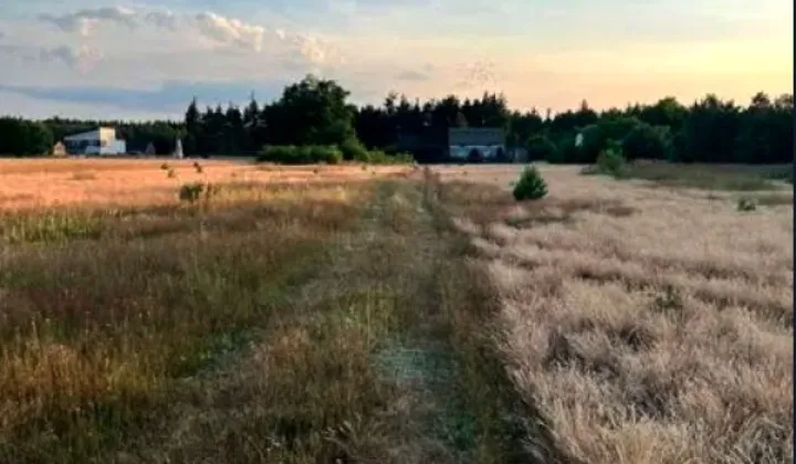 Działka rolna Stęszów