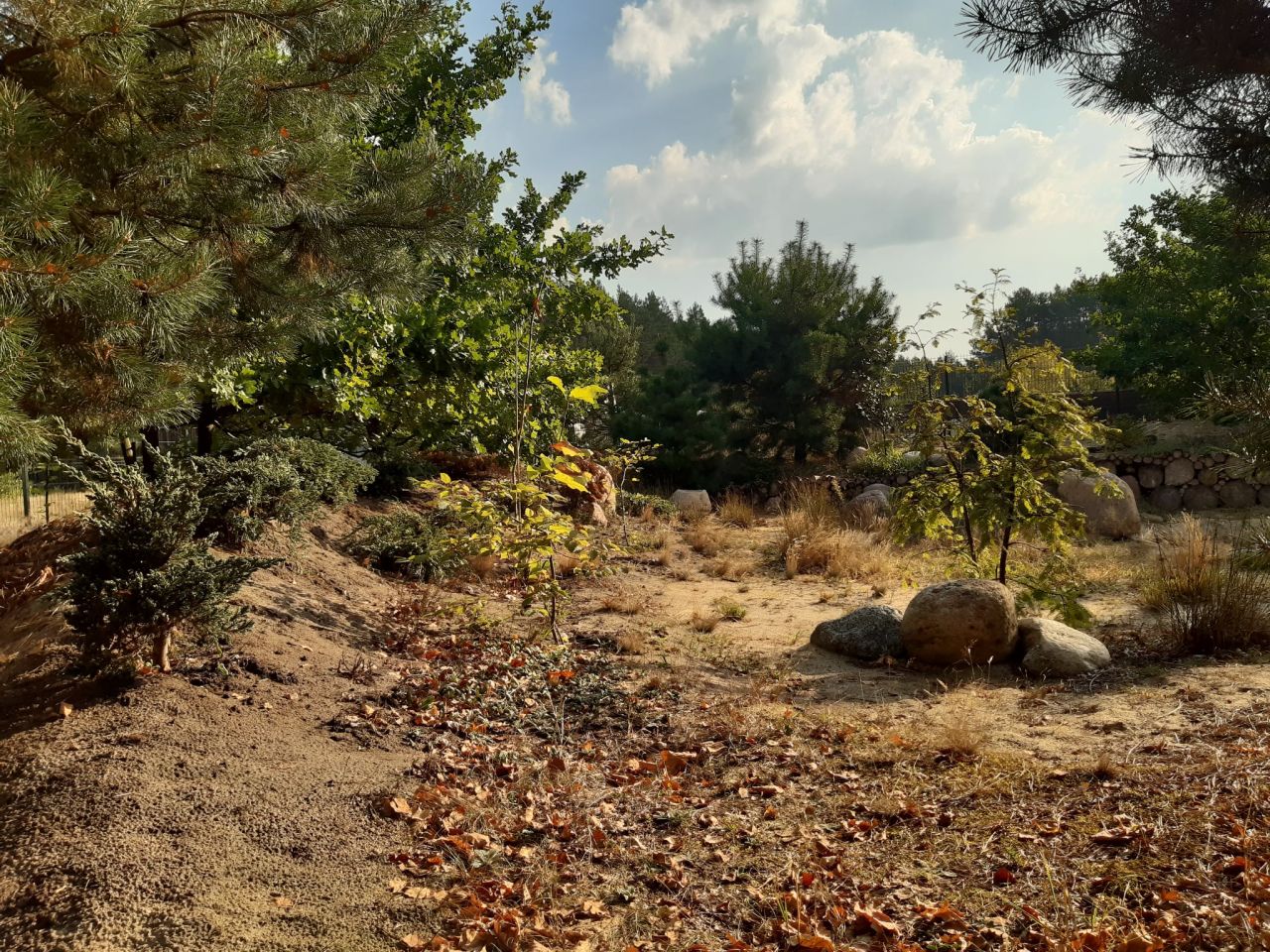 Działka budowlana Podbiel Krupińskie, Sosnowa. Zdjęcie 39