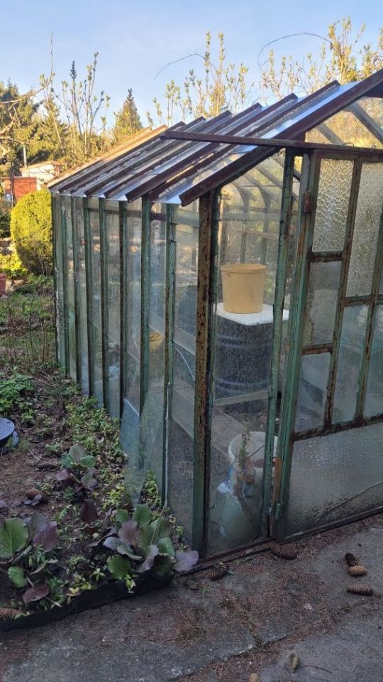 Działka rod Bydgoszcz. Zdjęcie 5