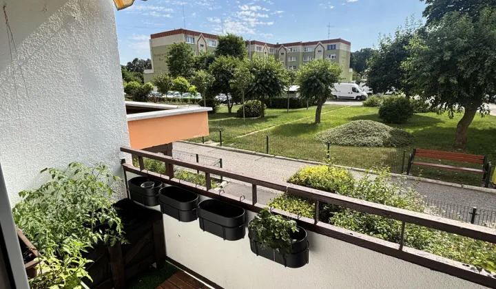 Mieszkanie 2-pokojowe Szczecin Prawobrzeże, os. Kasztanowe