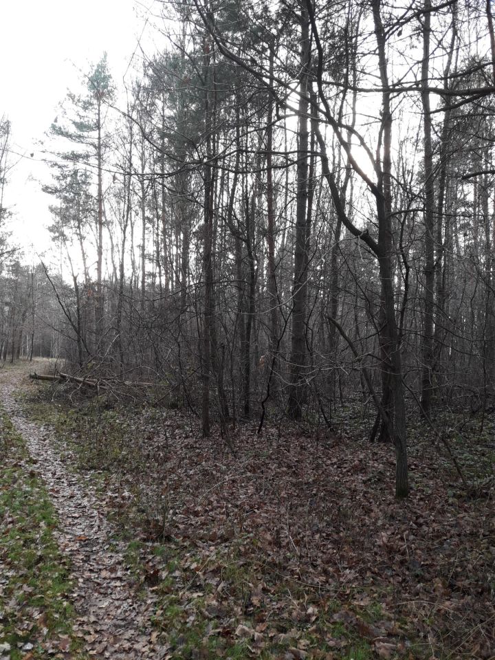 Działka inna Stare Załucze. Zdjęcie 3