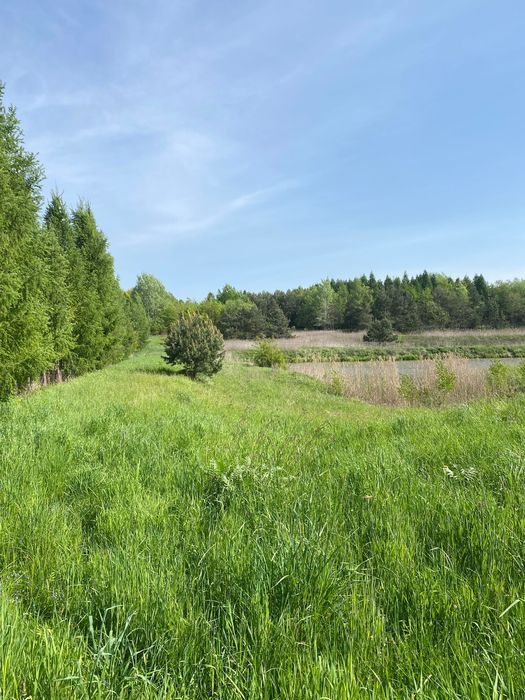 Działka rekreacyjna Leżachów. Zdjęcie 8