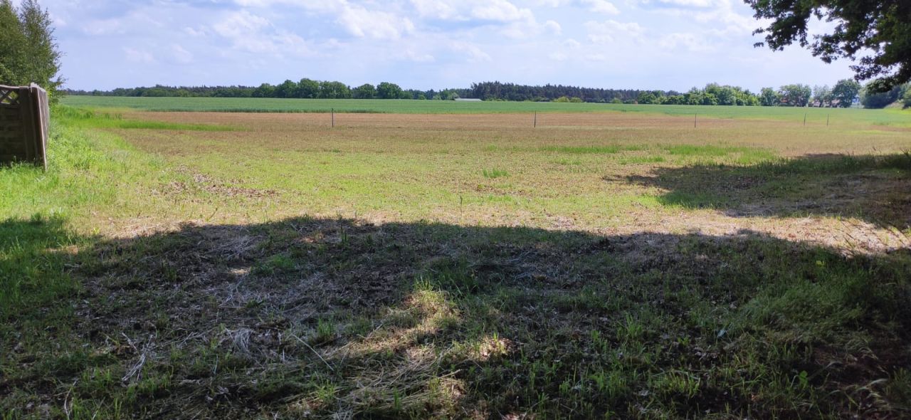 Działka budowlana Wysocko Wielkie, ul. Akacjowa. Zdjęcie 3