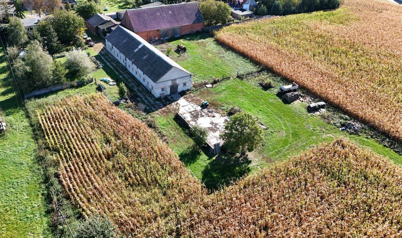 gospodarstwo Łopienno. Zdjęcie 7