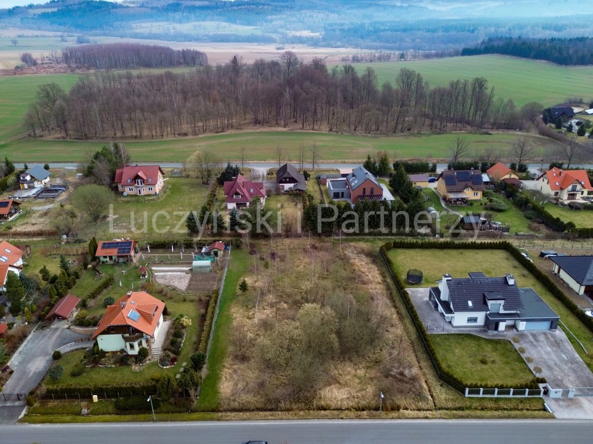 Działka inwestycyjna Dziwiszów. Zdjęcie 4