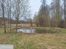 Działka rekreacyjna Rypin, ul. Spokojna. Zdjęcie 1