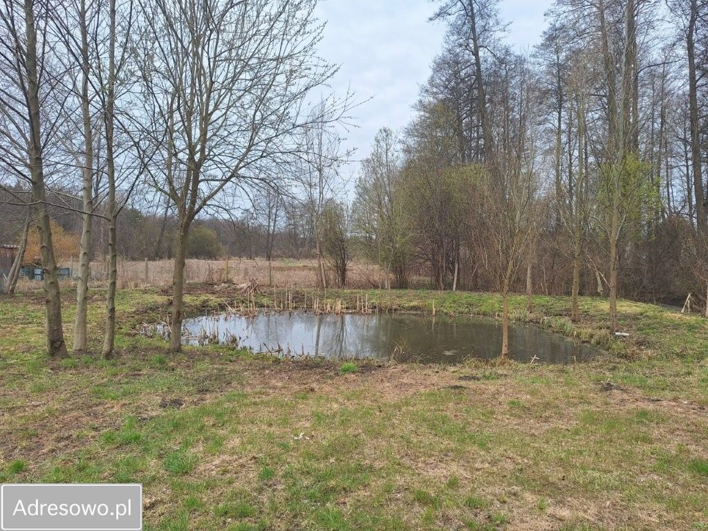 Działka rod Rypin, ul. Spokojna. Zdjęcie 2