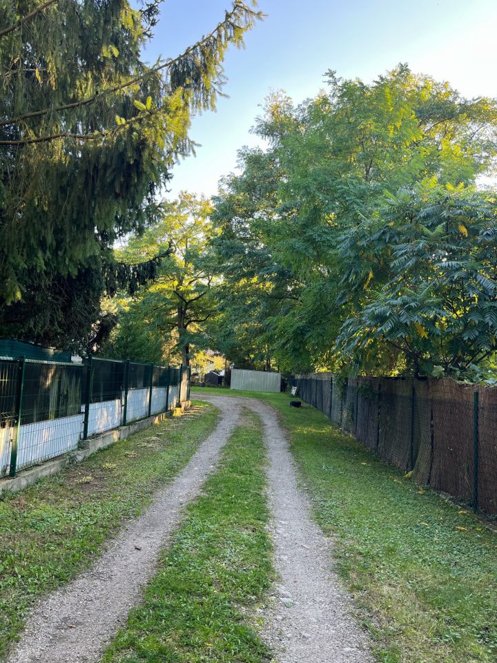 dom wolnostojący, 8 pokoi Zalesie Górne, ul. Poranku. Zdjęcie 4