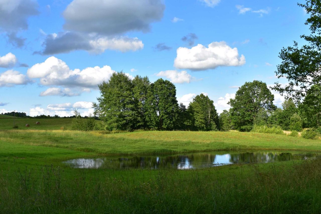 Działka rolna Pudlikajmy. Zdjęcie 5