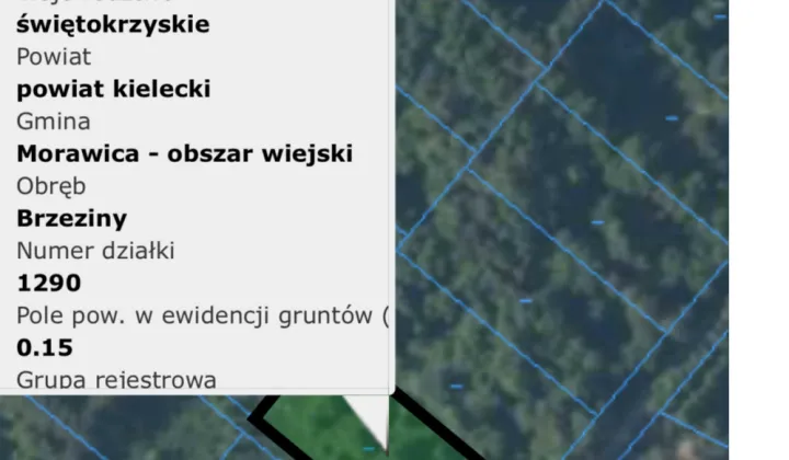 Działka rekreacyjna Brzeziny, ul. Wschodnia