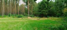 Działka rekreacyjna Budy Grabskie. Zdjęcie 3