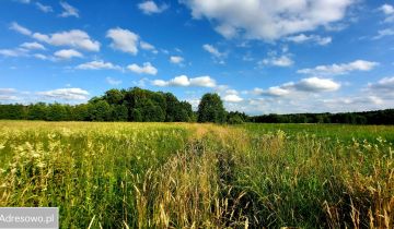 Działka rolna Smorawina