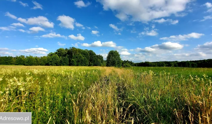 Działka rolna Smorawina