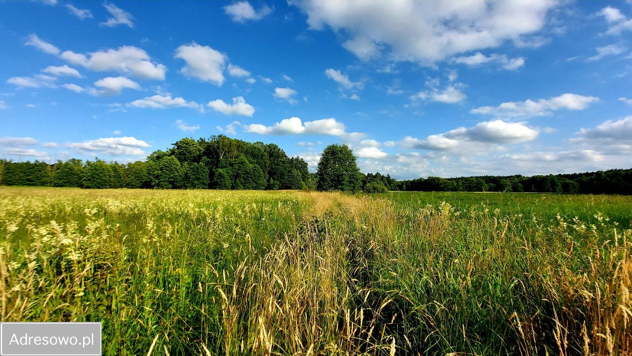 Działka rolna Smorawina