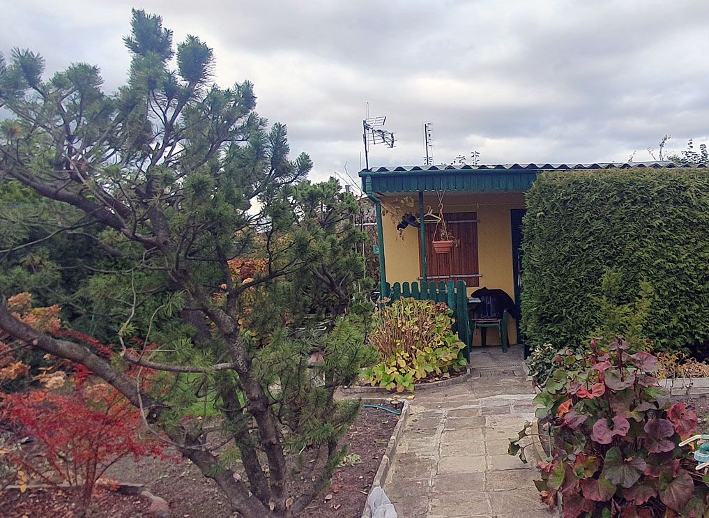 Działka rod Konin Wilków, ul. Świętojańska. Zdjęcie 13