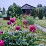 Działka rod Puławy. Zdjęcie 2