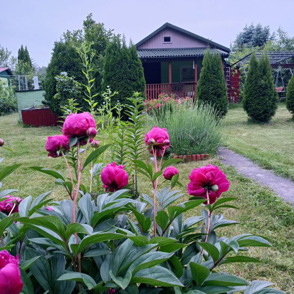 Działka rod Puławy. Zdjęcie 3