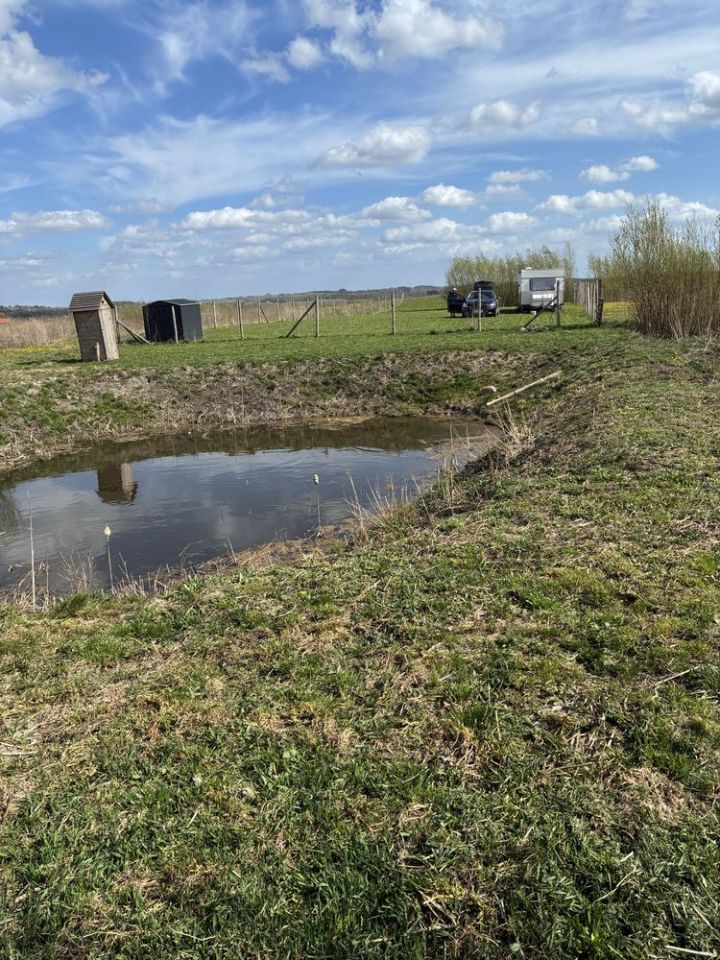 Działka rolna Muntowo. Zdjęcie 3